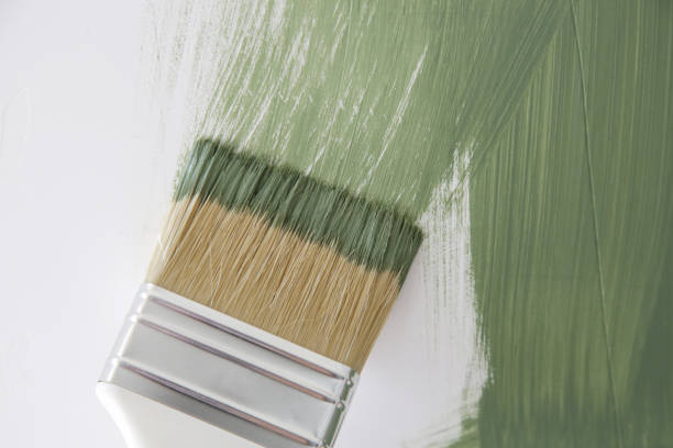 Best Real Estate Mold Inspection  in Alpha, NJ