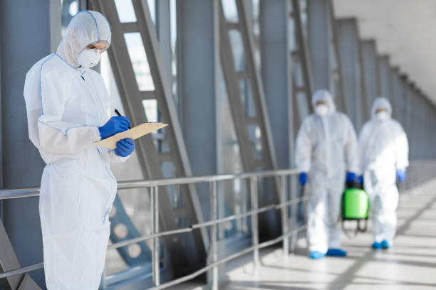 Alpha, NJ Mold Removal Company