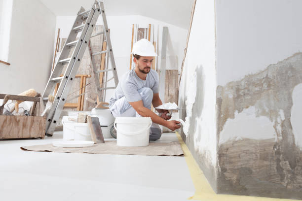  Alpha, NJ Mold Removal Pros
