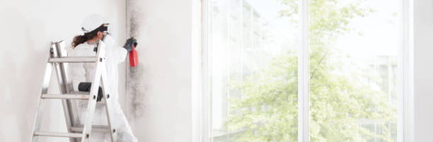 Mold Remediation for Vacation Homes in Alpha, NJ